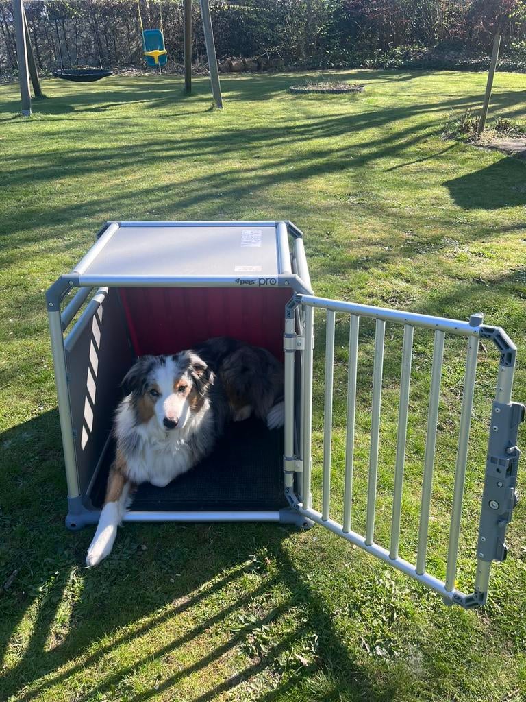 Banc pour chien dog box pro, Enlèvement, Comme neuf