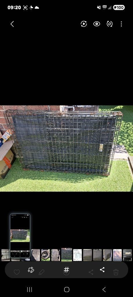 Cage pour chien, Enlèvement, Utilisé