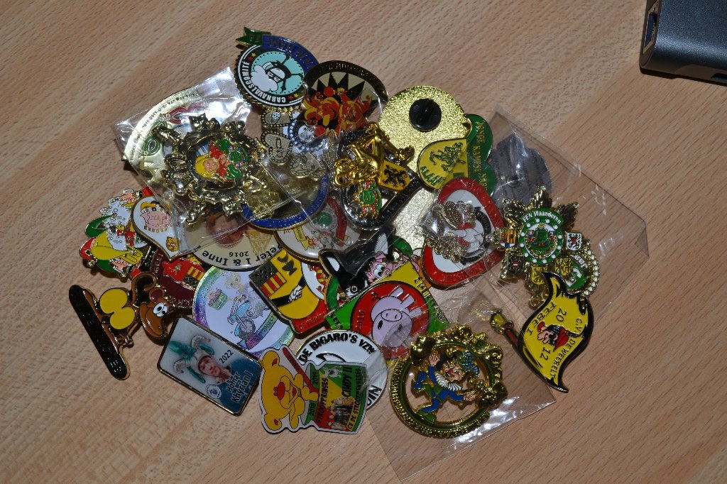 carnaval pins  30 verschillende, Enlèvement ou Envoi, Neuf, Insigne ou Pin's