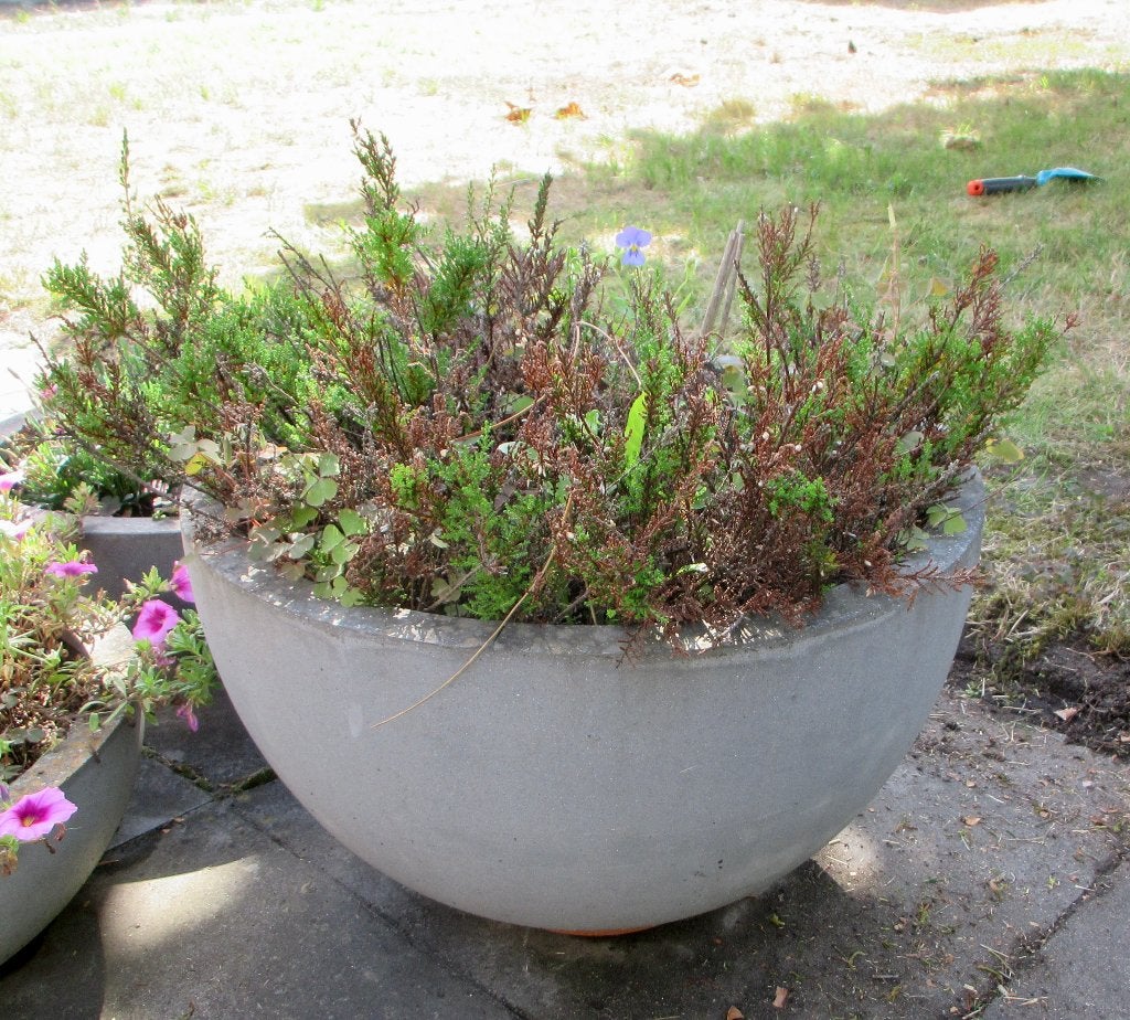 Bol à fleurs gris, Jardin & Terrasse, Balcon, 40 cm ou plus, Enlèvement, Utilisé