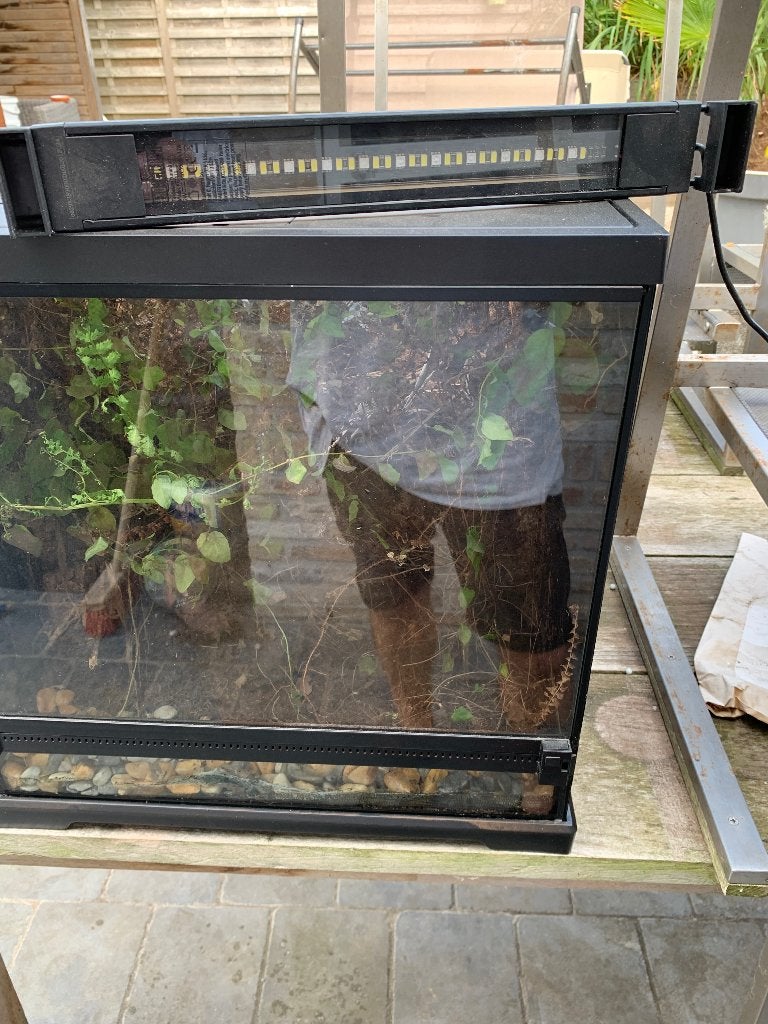 Paludarium, Ophalen, Gebruikt