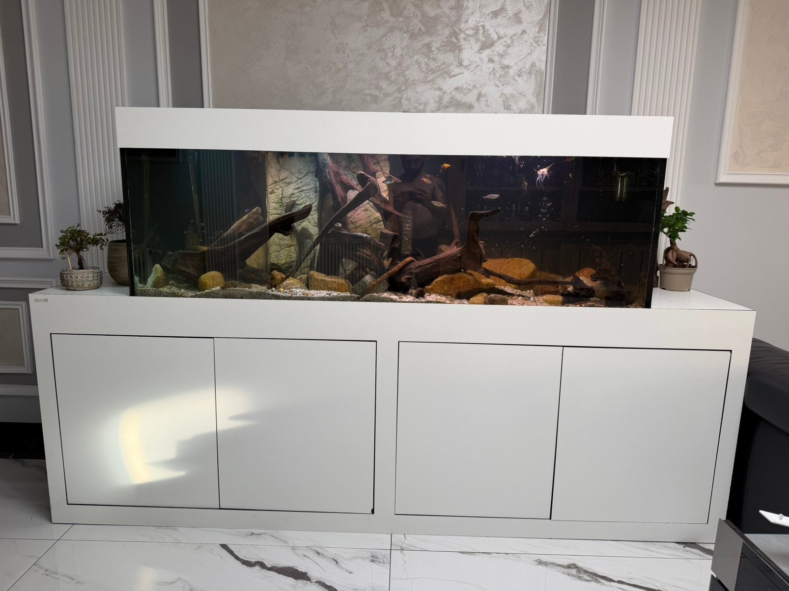 Aquarium 1,80cm Aquariumvissen, Ophalen, Aquariummeubel, Zo goed als nieuw, Inclusief vissen