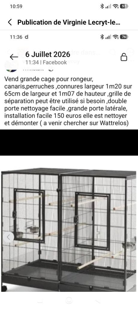Cage, Animaux & Accessoires, Oiseaux | Cages & Volières, Enlèvement, Utilisé, Métal, Cage à oiseaux