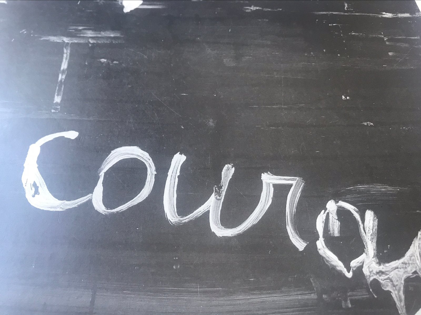 Philippe Vandenberg Courage 30pag, Ophalen of Verzenden, Zo goed als nieuw, Schilder- en Tekenkunst
