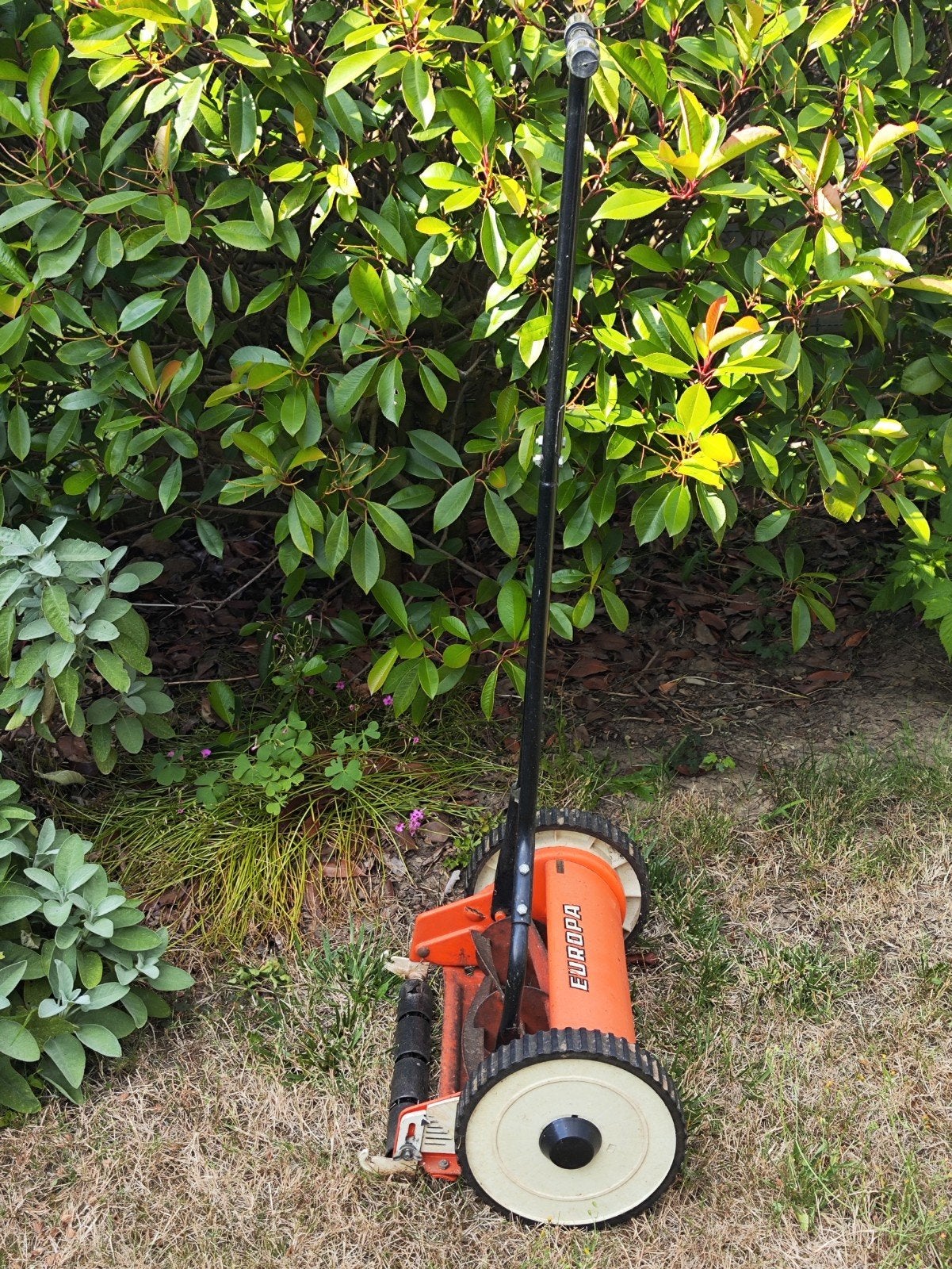 Machine à gazon sans moteur, Enlèvement