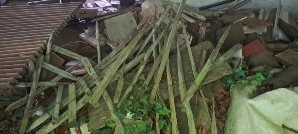 hout gratis, Tuin en Terras, Brandhout, Ophalen