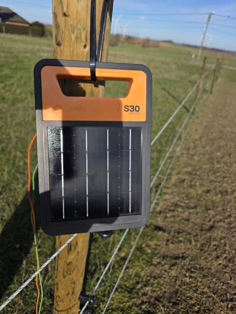energizer, Dieren en Toebehoren, Weidegang