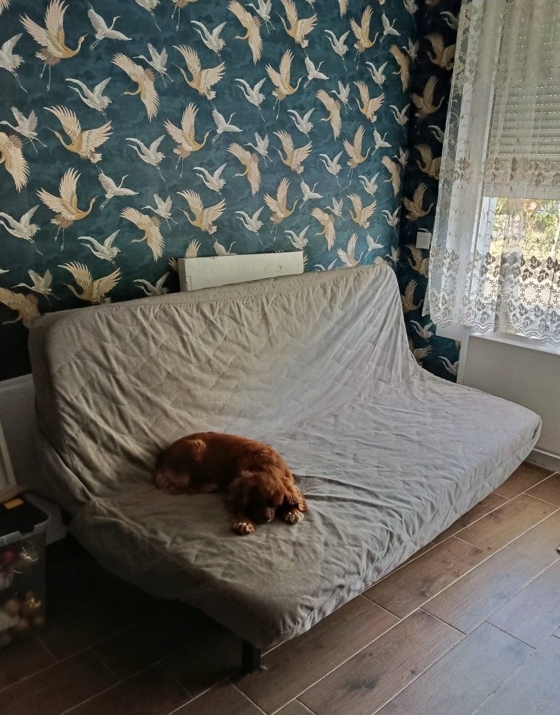 Slaapbank, Ophalen, Zo goed als nieuw, Tweepersoons, Beige