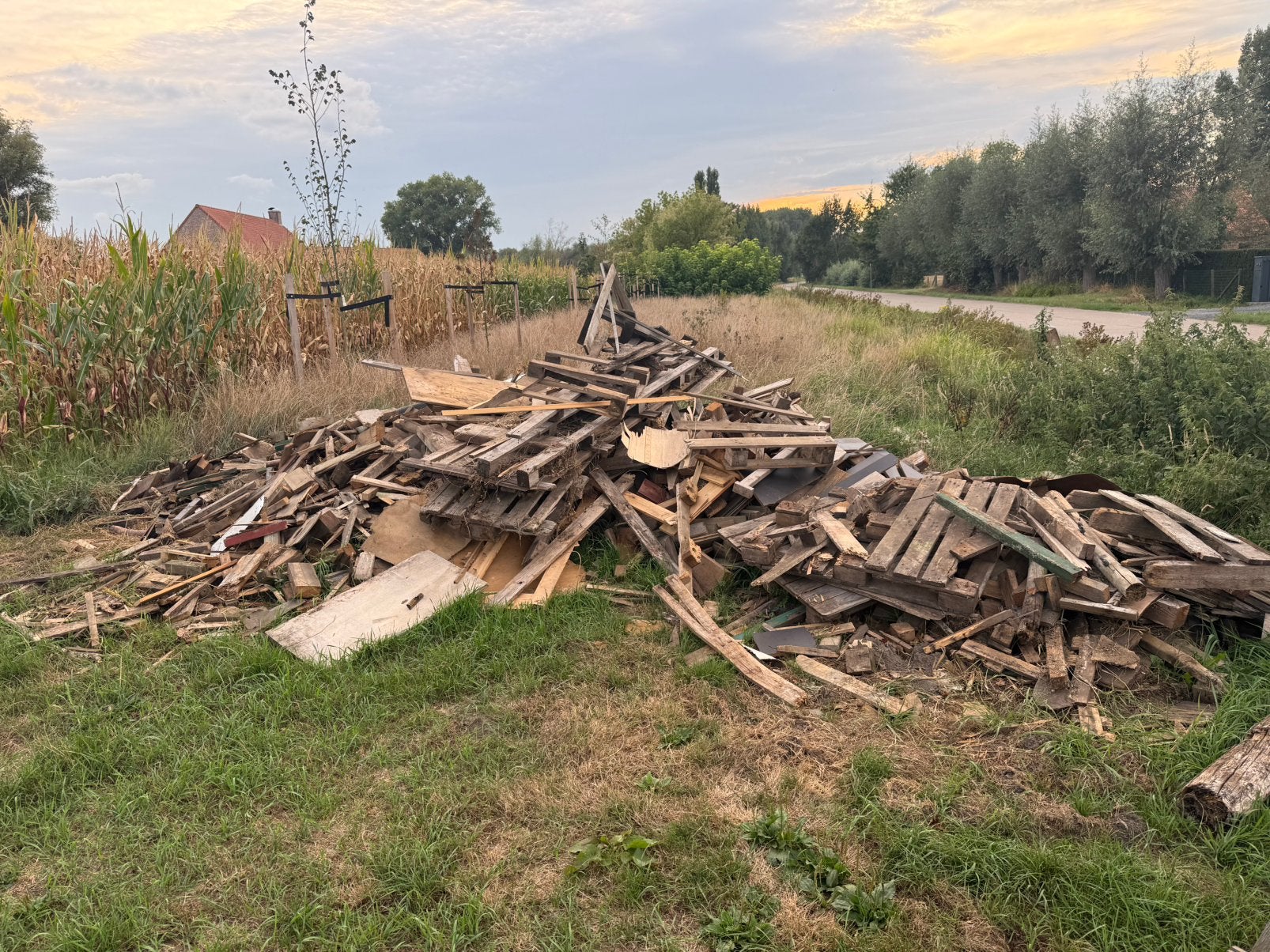 GRATIS brandhout te bassevelde, Enlèvement