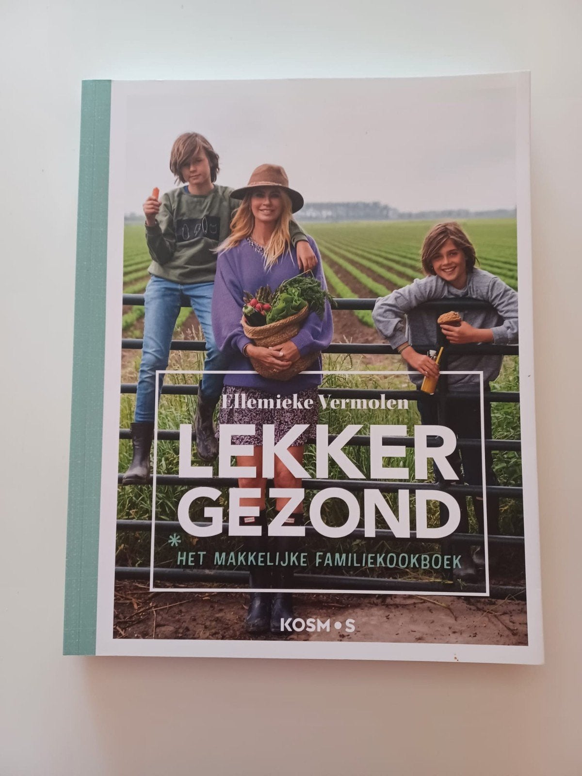 Livre de recettes saines d'Ellemieke Vermolen, Livres, Enlèvement, Neuf, Ellemieke Vermolen, Cuisine saine