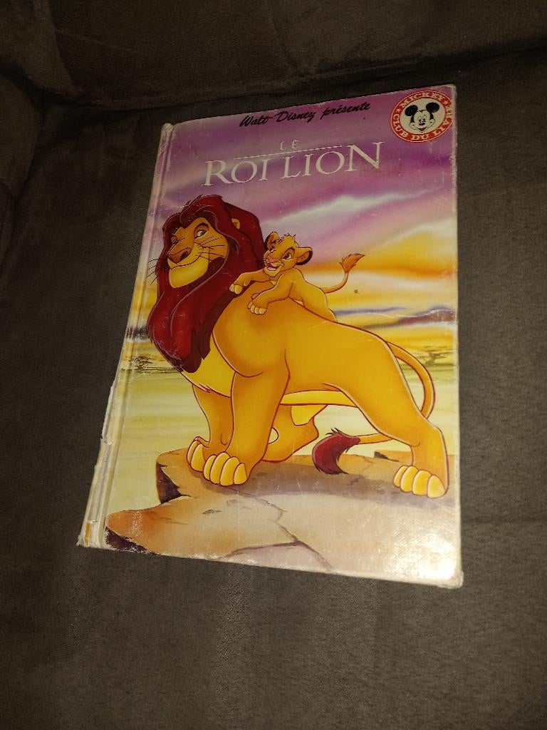 Livre le roi lion, Collections, Enlèvement ou Envoi