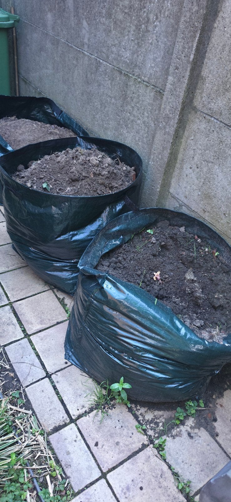 Aarde - zwarte grond  (+-1,5m²), Ophalen