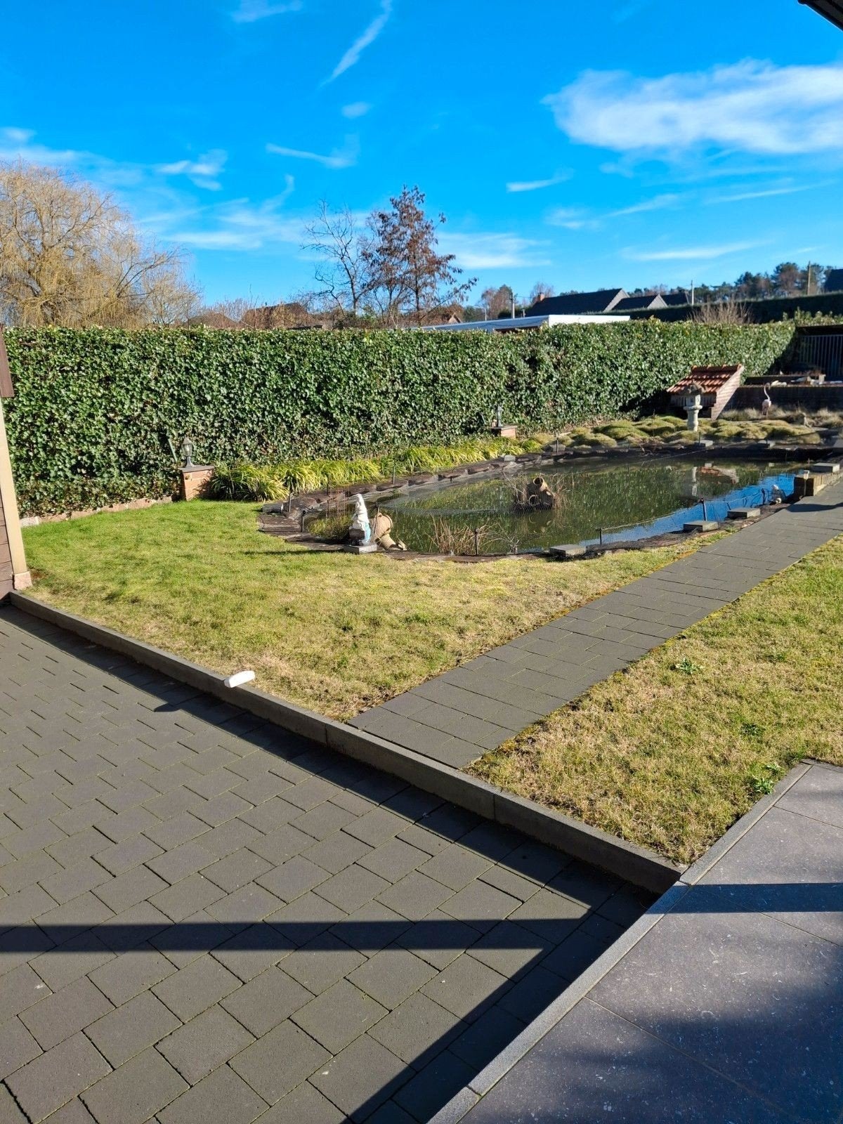 gratis vissen, Dieren en Toebehoren