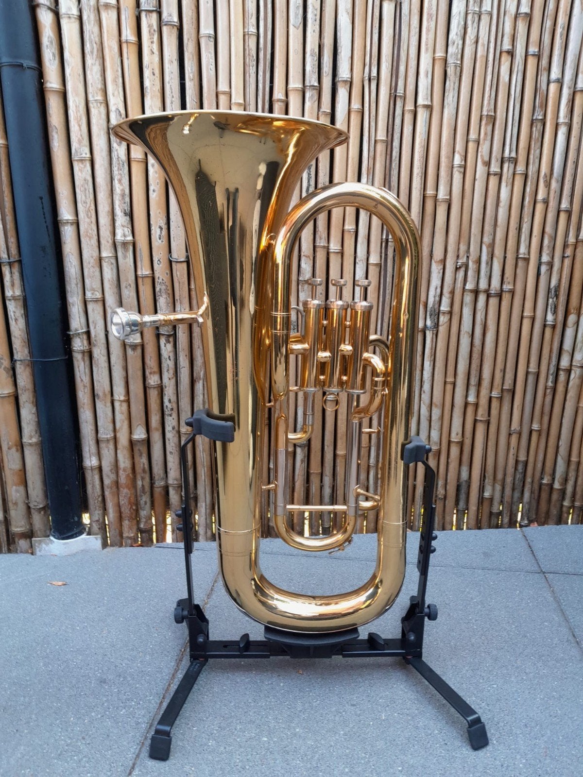 prachtige euphonum tuba ems, Enlèvement