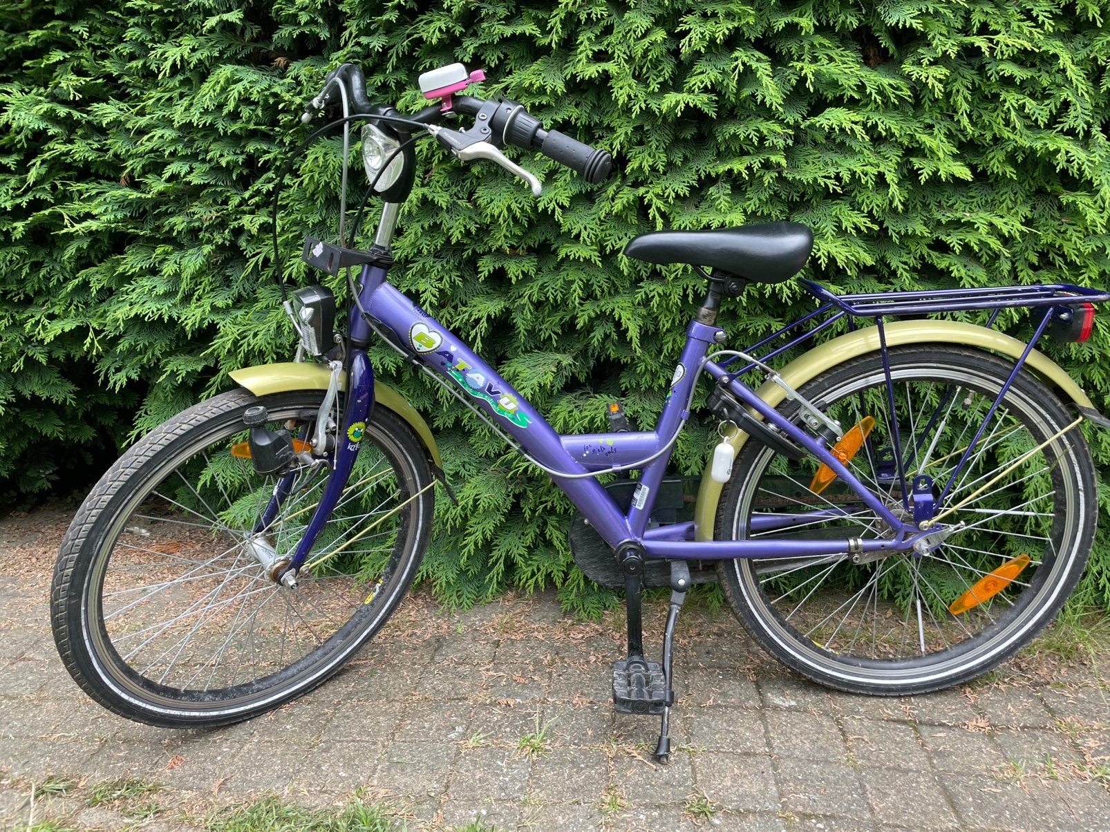 Meisjes fiets Batavus, Ophalen, Gebruikt, Velgrem, 22 inch