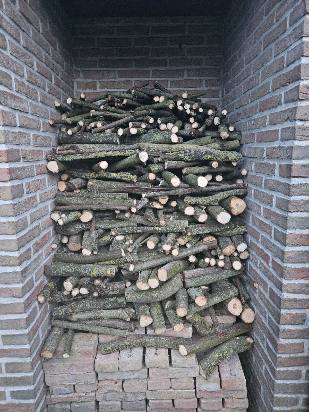 Brandhout eik, Tuin en Terras, Brandhout, Ophalen, Takken