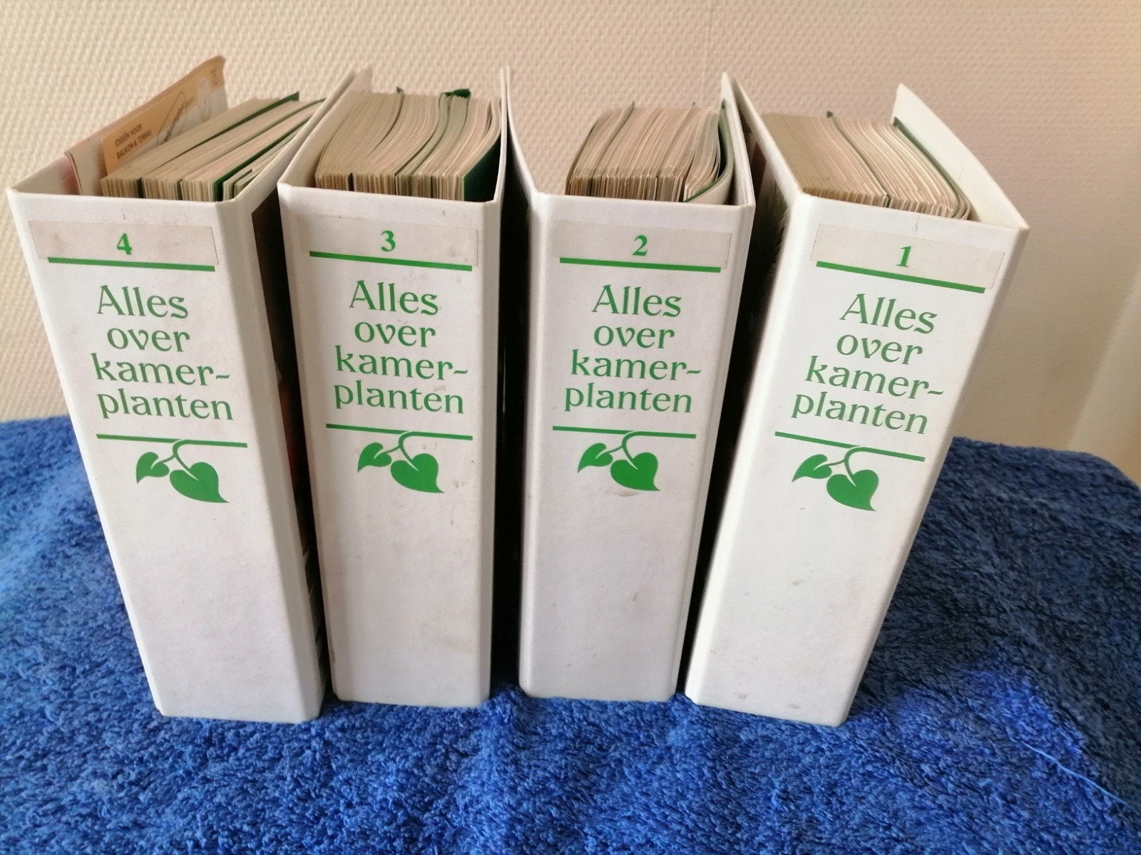 4 ringmappen over bloemen en planten, Ophalen, Zo goed als nieuw, Kamerplanten