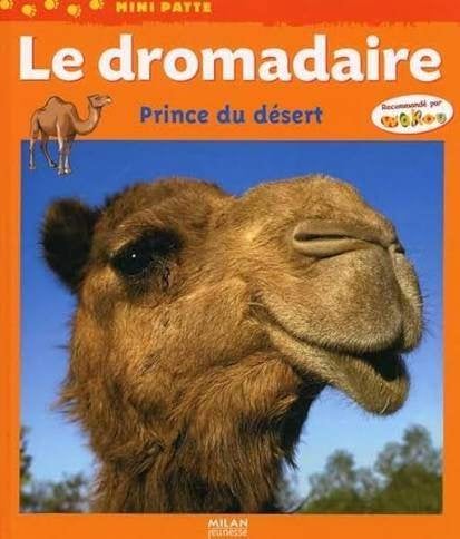 Adignas (fidèle ami) le dromadaire..., Livres, Enlèvement, Utilisé, Autre, Christianisme | Protestants