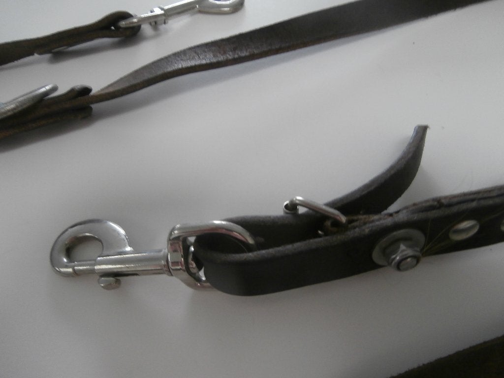 hondenriem, Dieren en Toebehoren, Ophalen, Gebruikt, Hondenriem