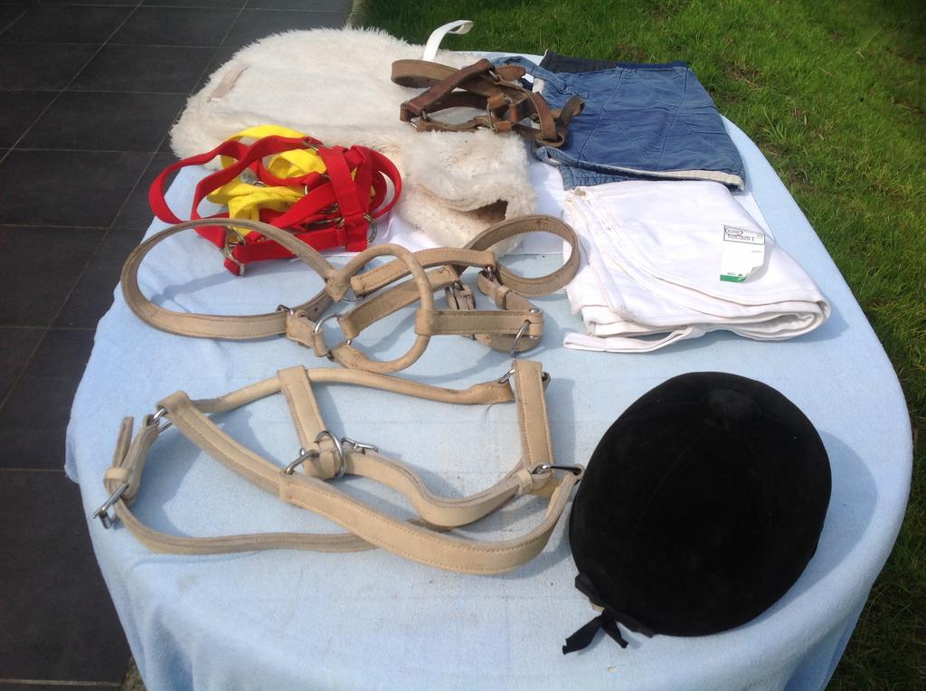 Allerlei paarden en ruitergerief, Accessoires