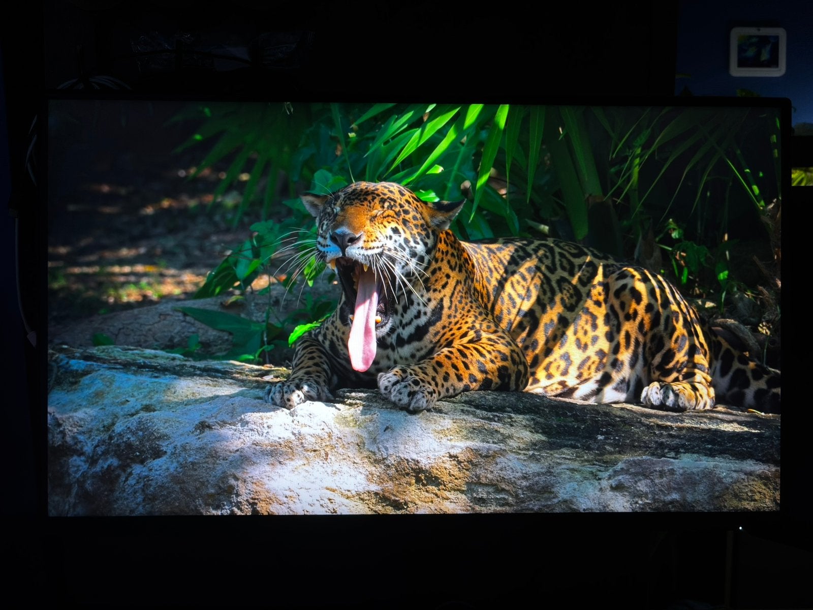 Aoc gaming monitor 300hz 1440p 24,5” 2,5 jaar garantie, Tickets en Kaartjes, Recreatie | Dierentuinen