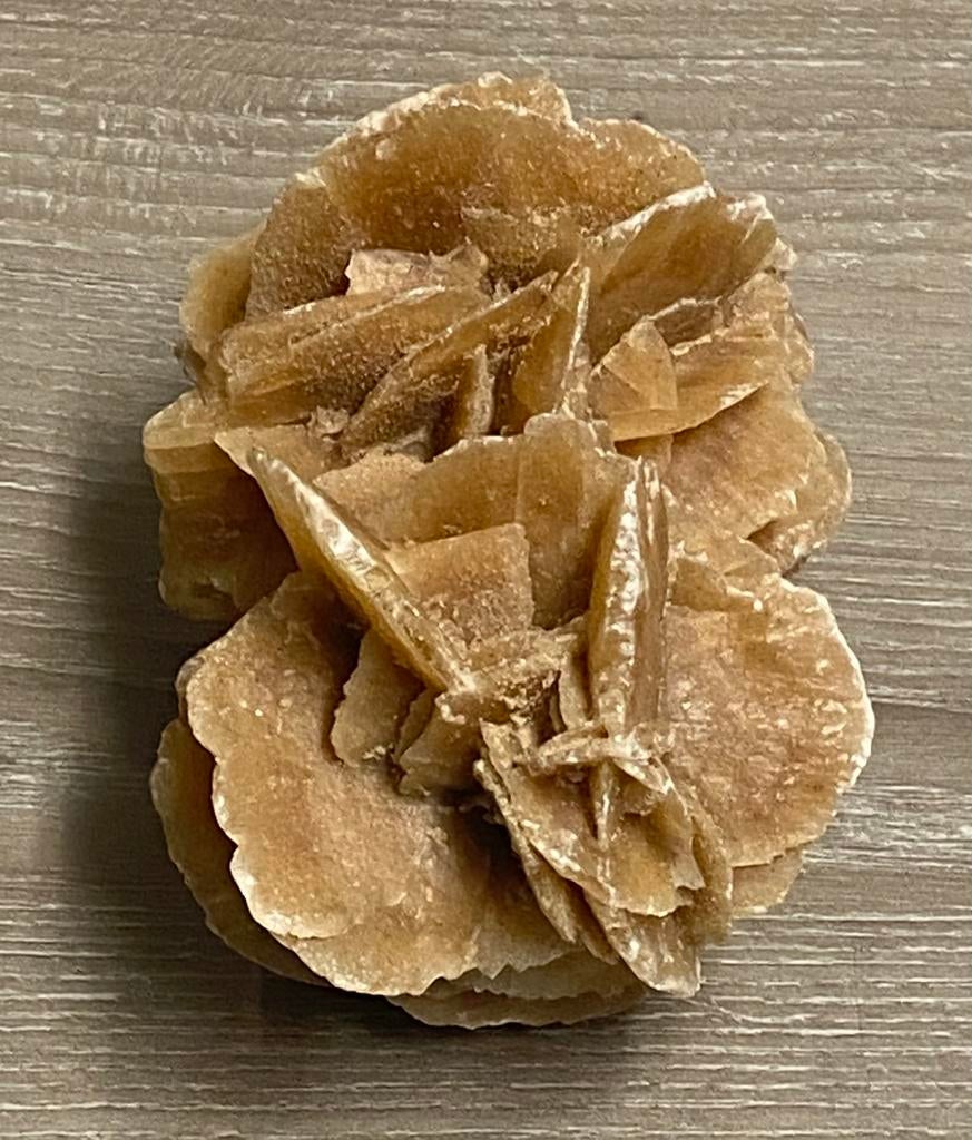 Eeuwenoude zandroos, 307 g, prijs: 15€, Verzamelen, Ophalen of Verzenden, Mineraal