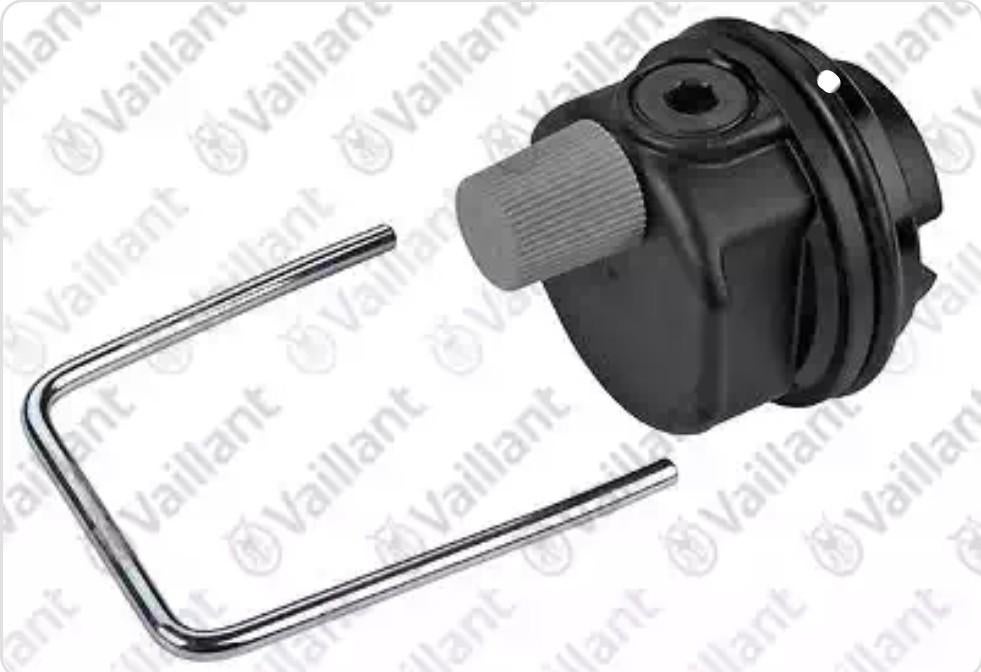 Purgeur Vaillant new ecoTEC (100% neuf), Enlèvement, Neuf