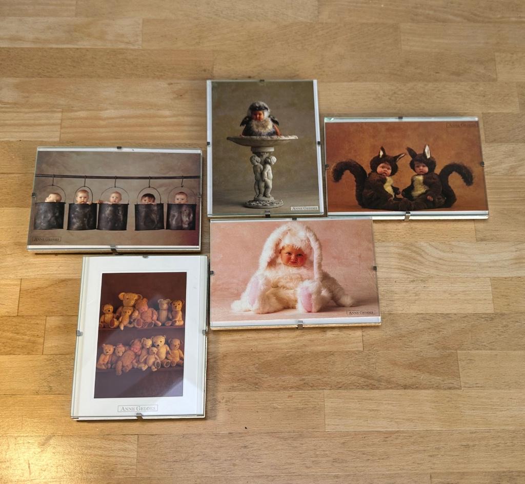 5 petits cadres avec photos Bébé Anne Geddes, Enlèvement