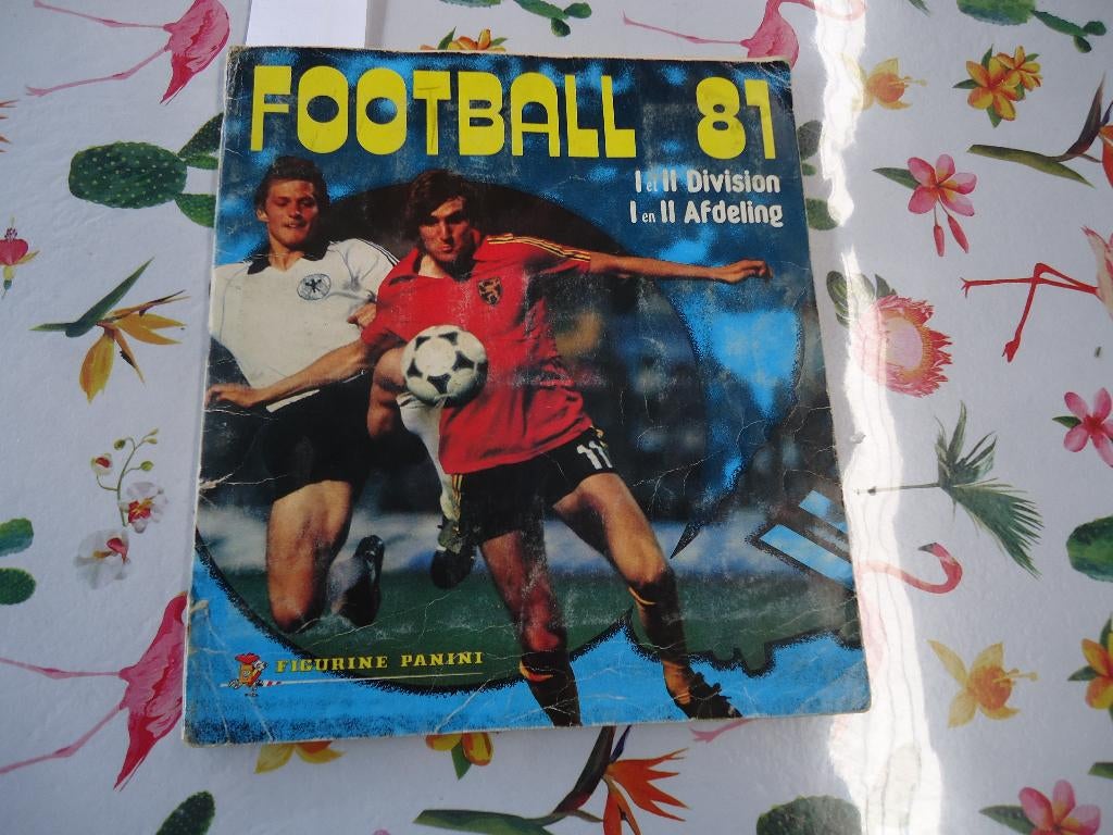 PANINI STICKER ALBUM VOETBAL FOOTBALL 81 Volledig, Verzenden, Sticker