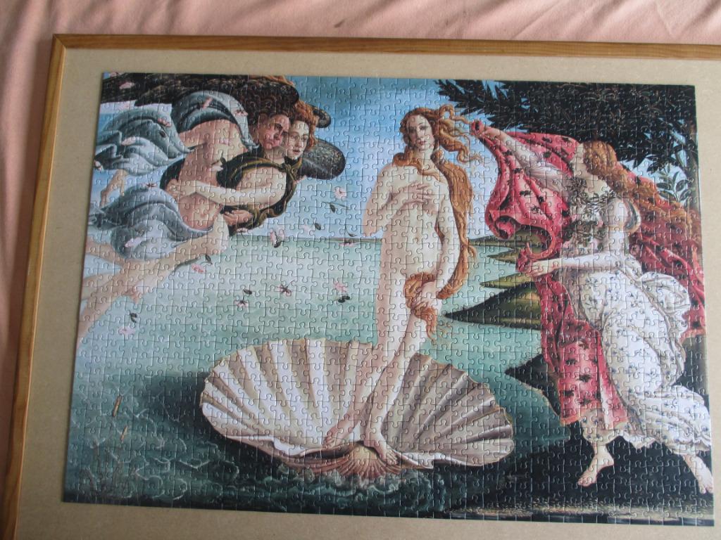 puzzel venus  1000, Ophalen of Verzenden, 500 t/m 1500 stukjes, Zo goed als nieuw, Legpuzzel