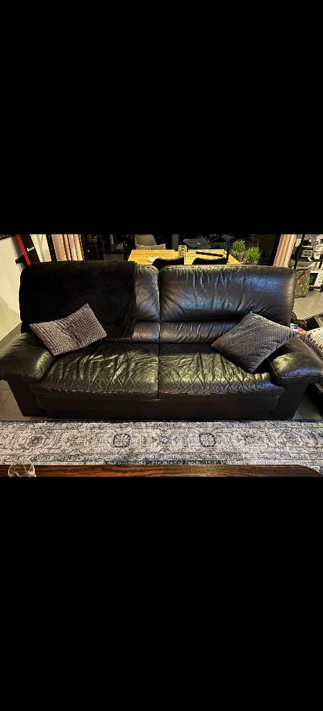 Sofa, Huis en Inrichting, Zetels | Zetels, Ophalen, 150 tot 200 cm, Tweepersoons, Leer