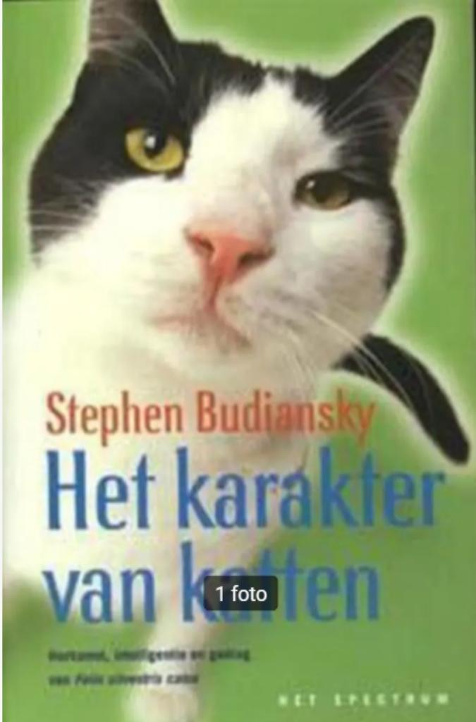 Boeken 6€ / stuk, Ophalen of Verzenden, Gelezen