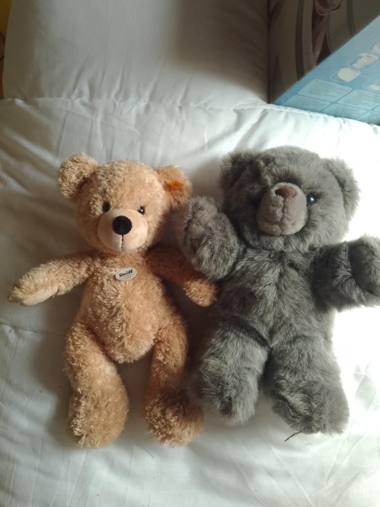 set van twee teddybeer waarvan 1 steiff Fynn teddybear nieuw, Enlèvement ou Envoi, Neuf, Ours en tissus, Steiff