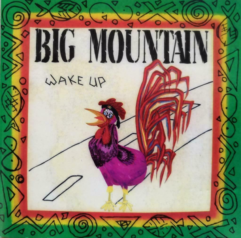 BIG MOUNTAIN - Wake up (CD), Enlèvement ou Envoi, Comme neuf