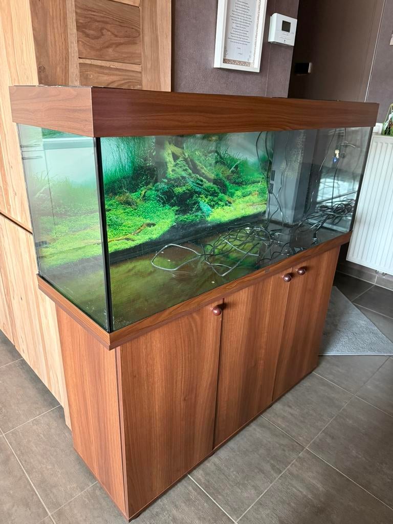 Aquarium met kast, Dieren en Toebehoren, Ophalen, Gebruikt