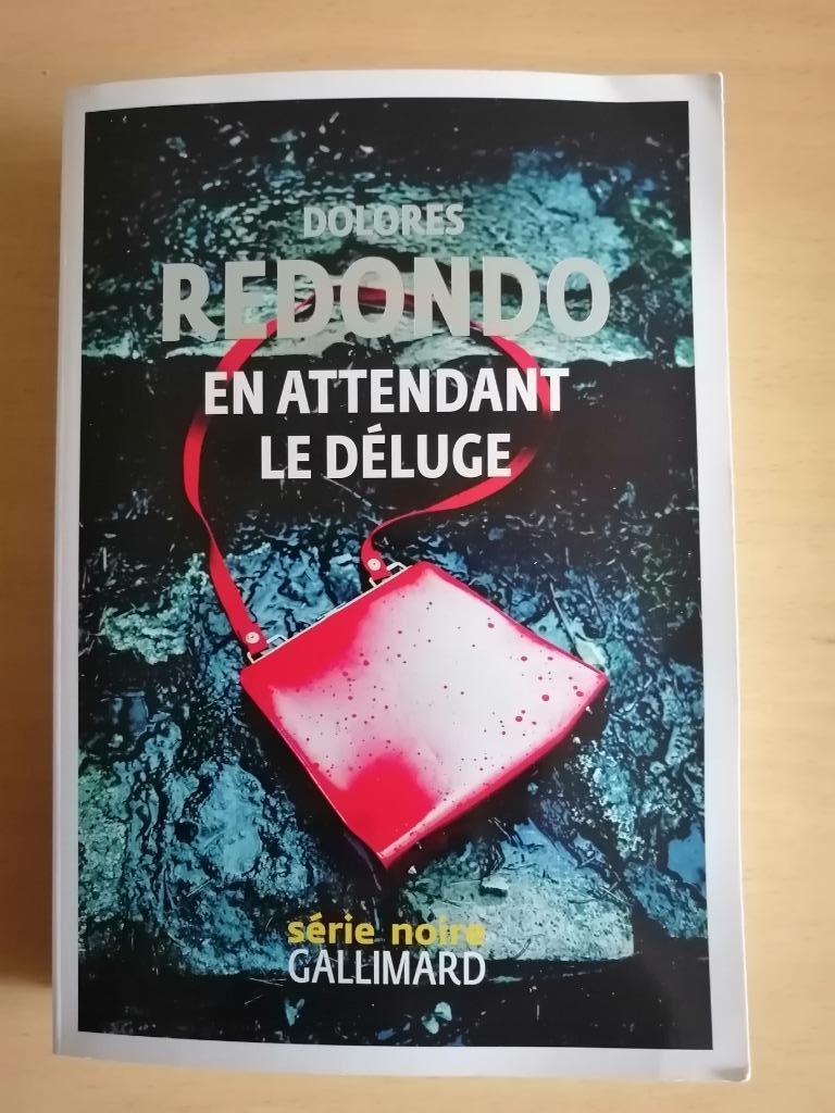 En attendant le déluge de Dolores Redondo - 2024, Boeken, Thrillers, Ophalen of Verzenden
