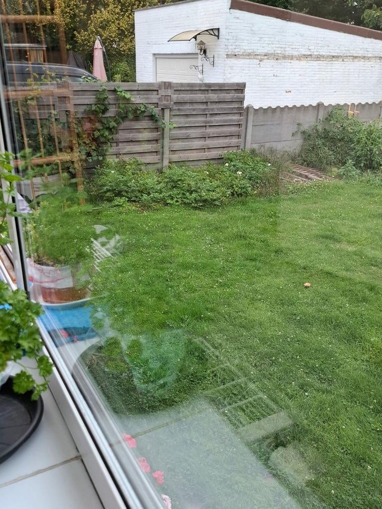 Tuinman gezocht omgeving Leopoldsburg, Enlèvement