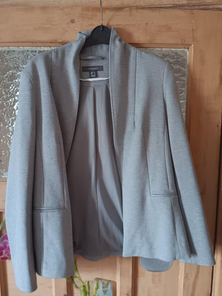 Grijze jas Primark, Kleding | Dames, Primark, Maat 42/44 (L), Ophalen of Verzenden, Zo goed als nieuw