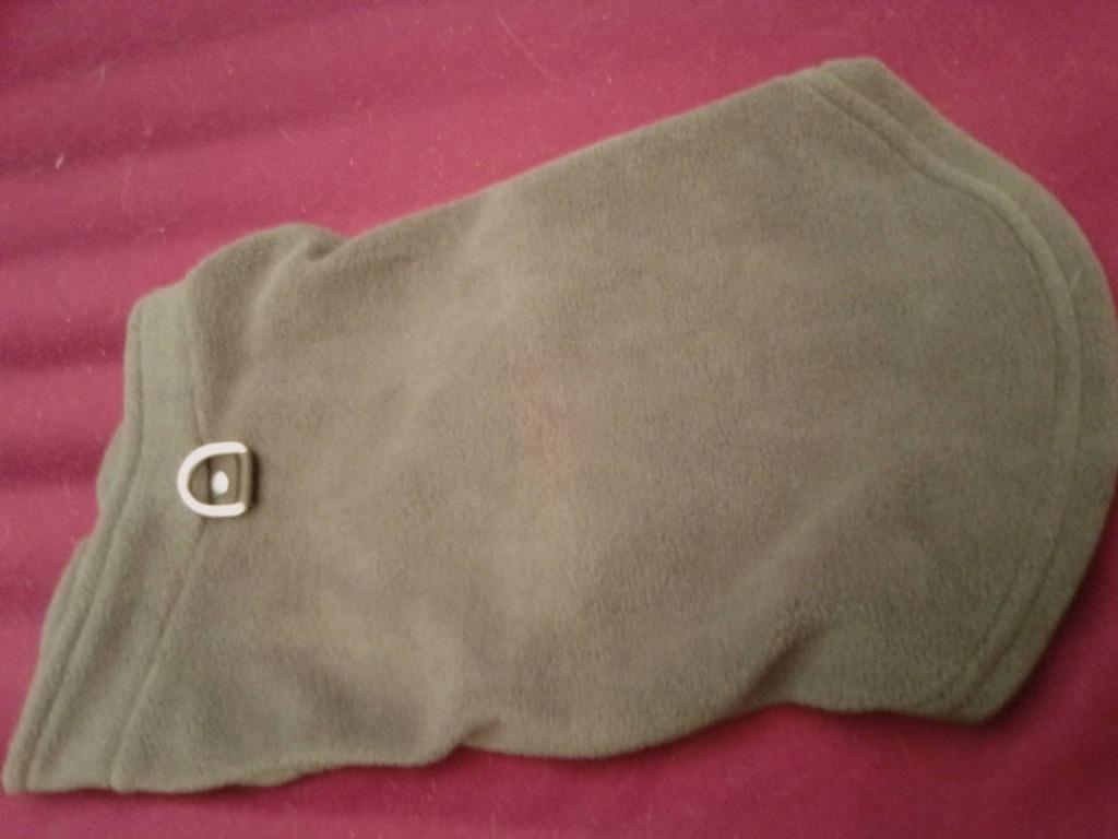 Hondentrui, Dieren en Toebehoren, Hondenkleding, Ophalen of Verzenden, Zo goed als nieuw, Hondentrui
