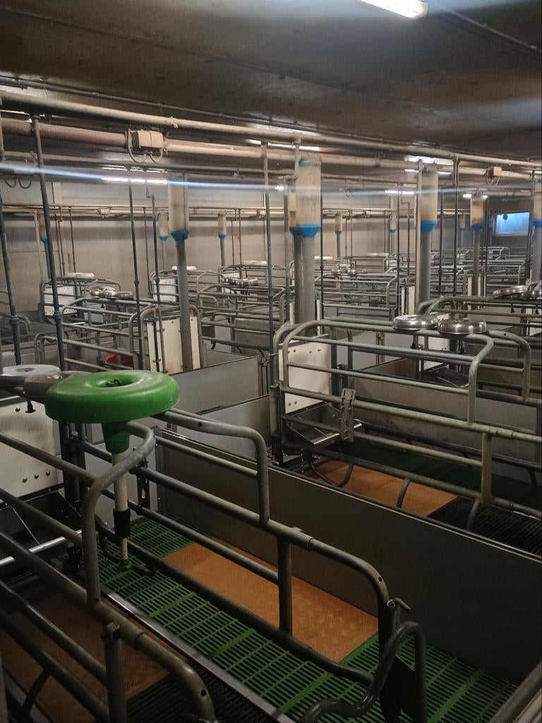 Zoek bijverdienste, varkensstallen uitspuiten