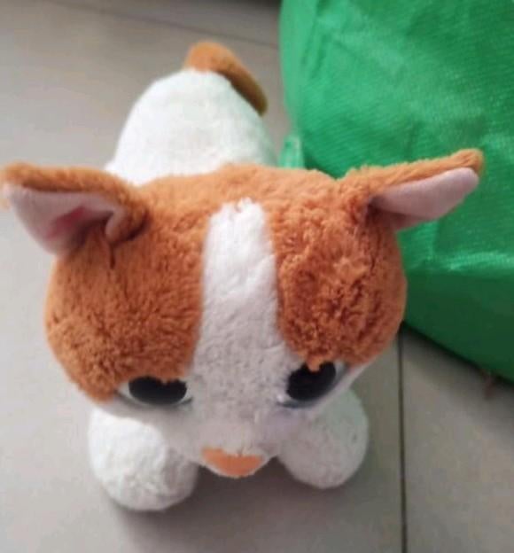 Knuffel Kat, Ophalen of Verzenden, Gebruikt