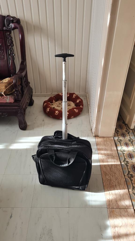 trolley weinig gebruikt voor laptop en bureaubenodigdheden, Enlèvement ou Envoi, Autres types