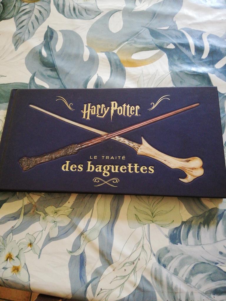 Harry Potter. Le traité des baguettes., Enlèvement ou Envoi