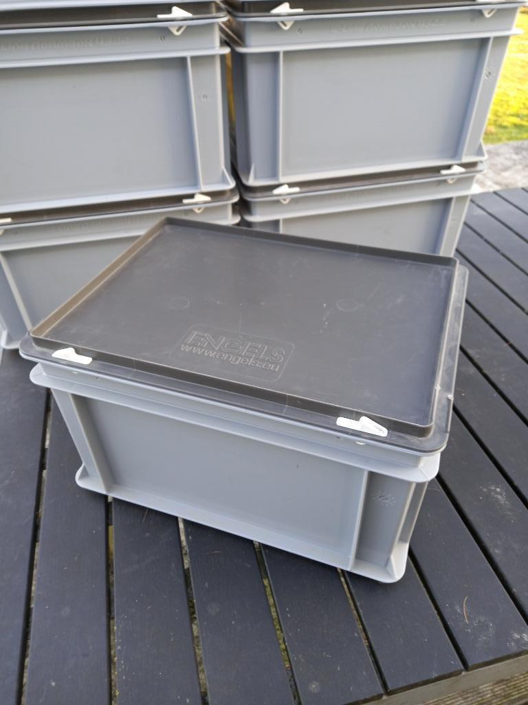 10 boîtes en plastique robustes avec couvercle à pression, Moins de 50 cm, Comme neuf, Synthétique, Enlèvement