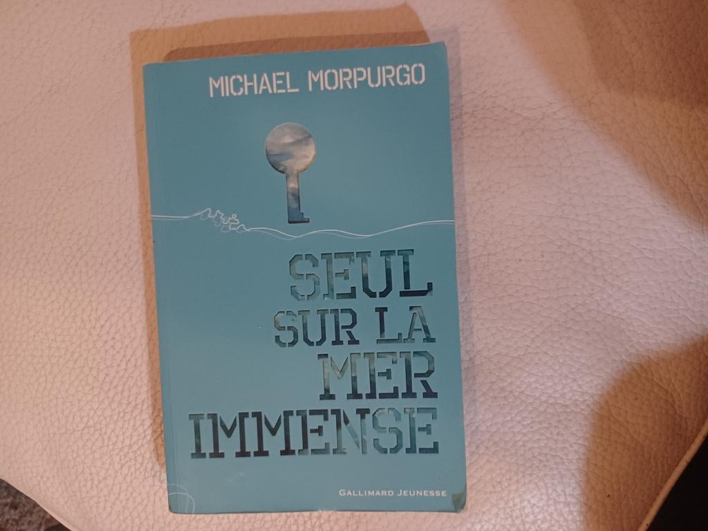 quasi gratuit Seul sur la mer immense (Michael Morpurgo), Enlèvement, Comme neuf