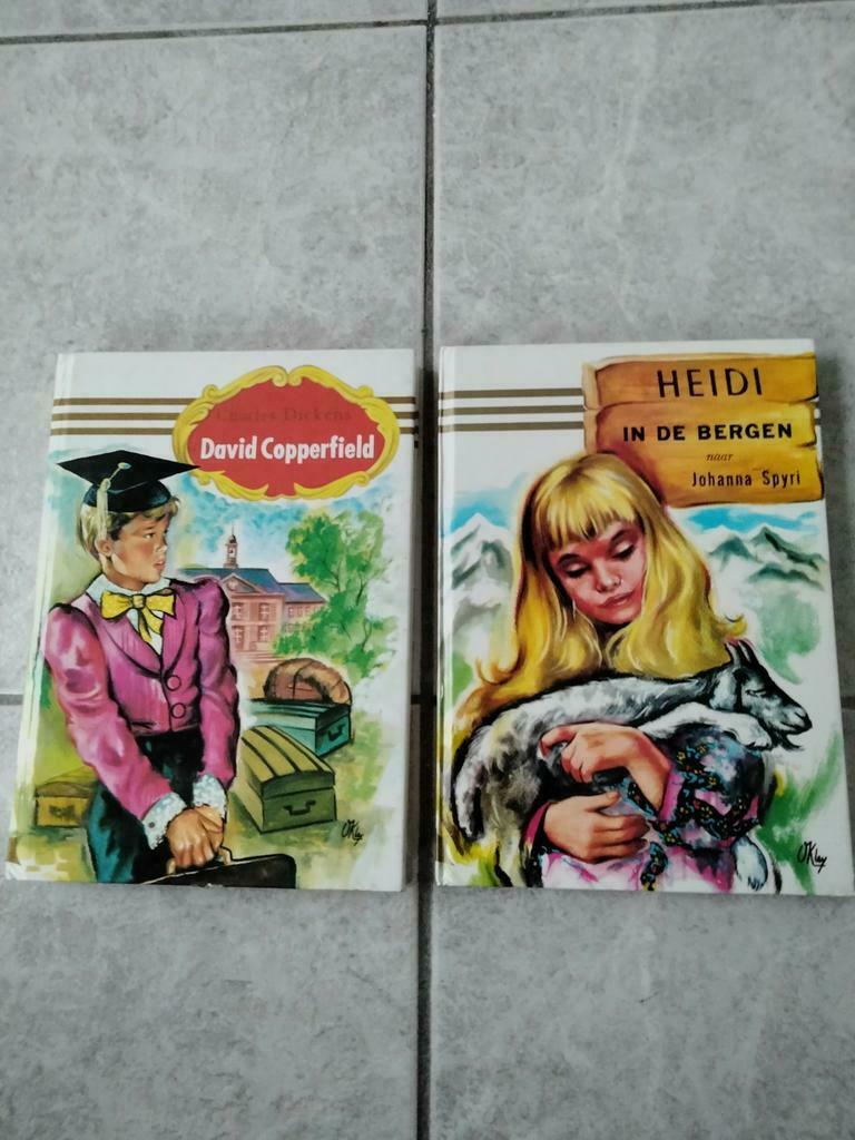 2 mooie leesboeken, Boeken, Ophalen of Verzenden, Zo goed als nieuw