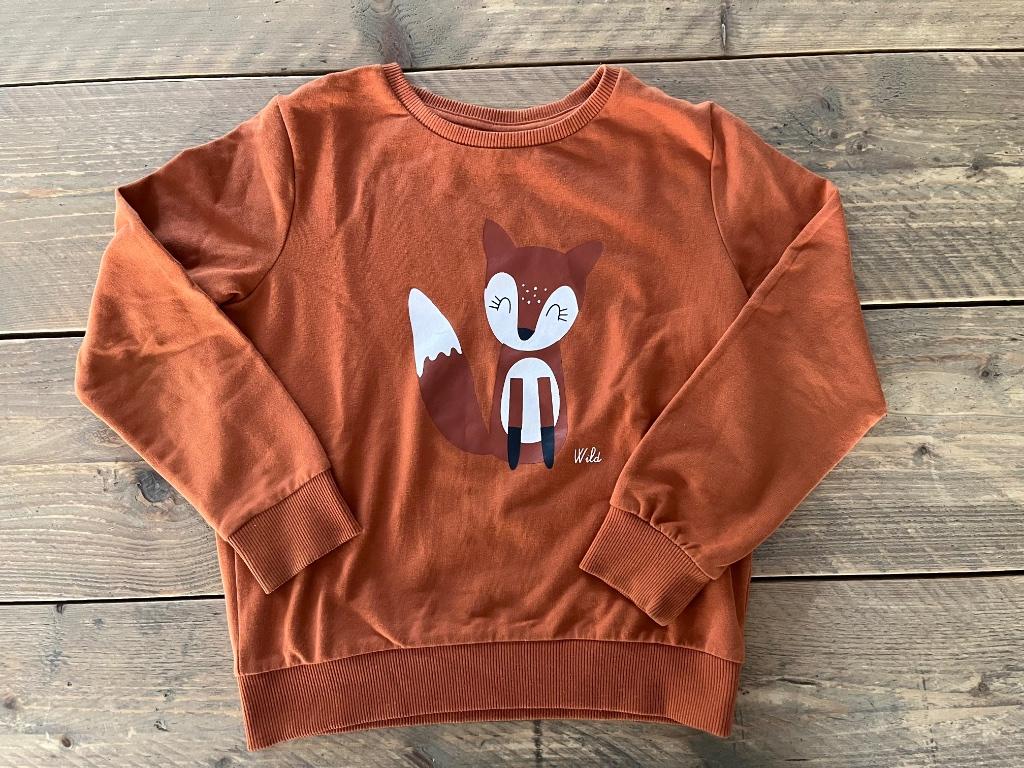 JBC, sweater met vos 134, Kinderen en Baby's, Kinderkleding | Maat 134, Meisje, Trui of Vest, JBC, Ophalen of Verzenden