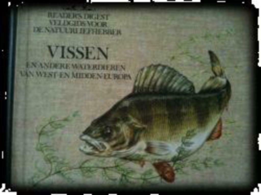 Vissen, Readers Digest, Boeken, Dieren en Huisdieren, Gelezen, Vissen, Ophalen of Verzenden