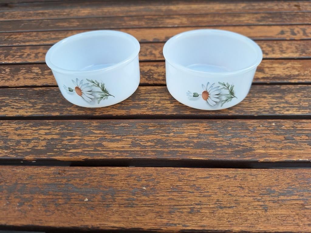 Set van 2 arcopal ramekins/schalen, Ophalen of Verzenden