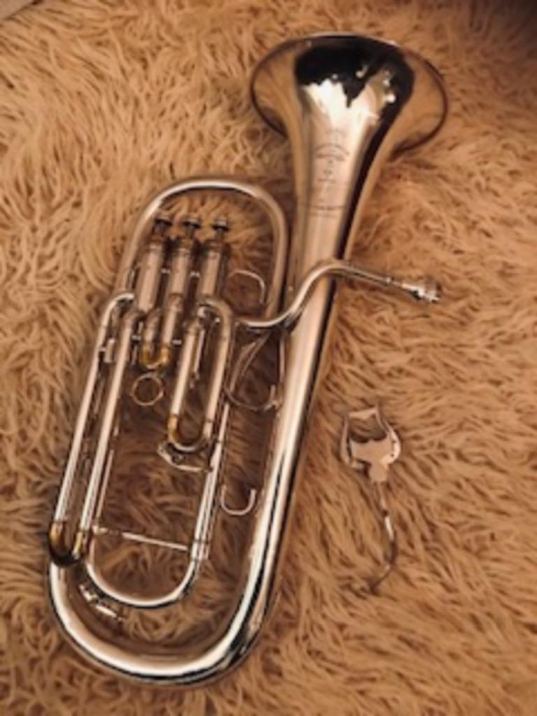 Alto, Musique & Instruments, Instruments à vent | Autre, Comme neuf, Enlèvement